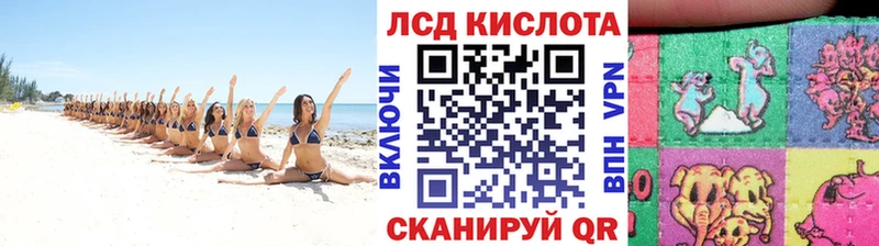 мега ссылка  магазин продажи наркотиков  Олонец  Марки 25I-NBOMe 1,5мг 