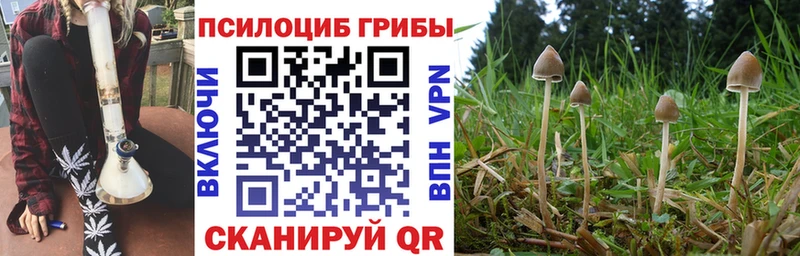 Галлюциногенные грибы MAGIC MUSHROOMS  Олонец 