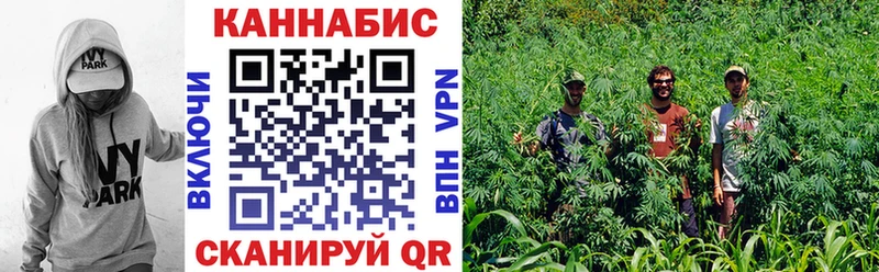 Конопля LSD WEED Олонец