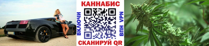 Конопля Amnesia  купить наркоту  Олонец 